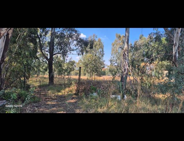 FARM FOR SALE IN MIDVAAL